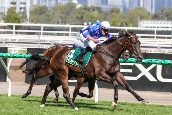 Sutton keeping an open mind with Feroce