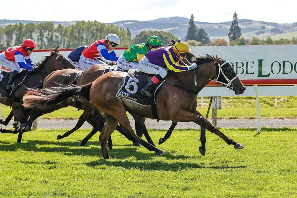 Southern Guineas double for Hello Hayley