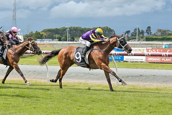 Double duty pays winning dividend for Price