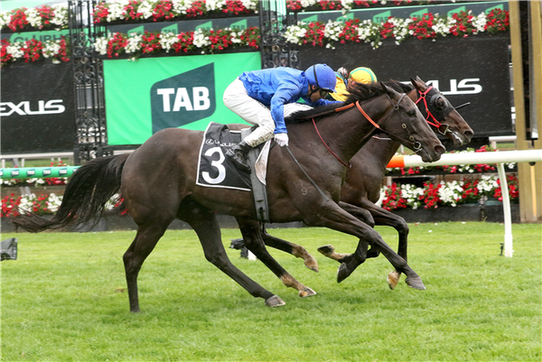 Ceolwulf back for career-defining campaign