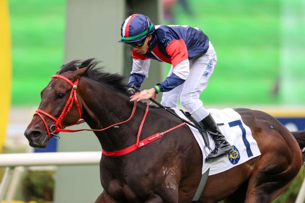 Numbers keeps climbing as Hong Kong Classic Cup takes spotlight
