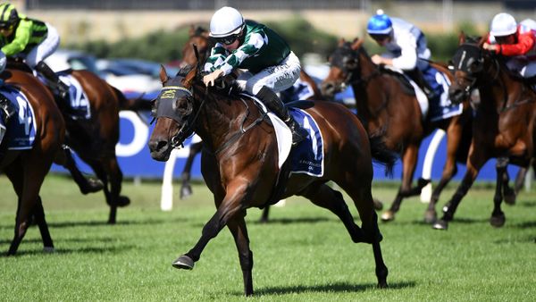Yulong dominates NZ Oaks
