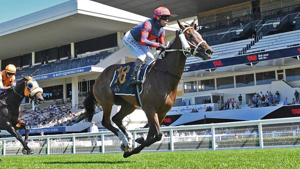 Explosive family continues to produce for Muollo