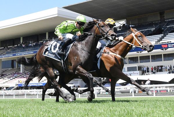 Filly continues hot summer for Highden