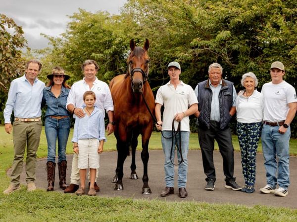 Coolmore purchases Super Seth