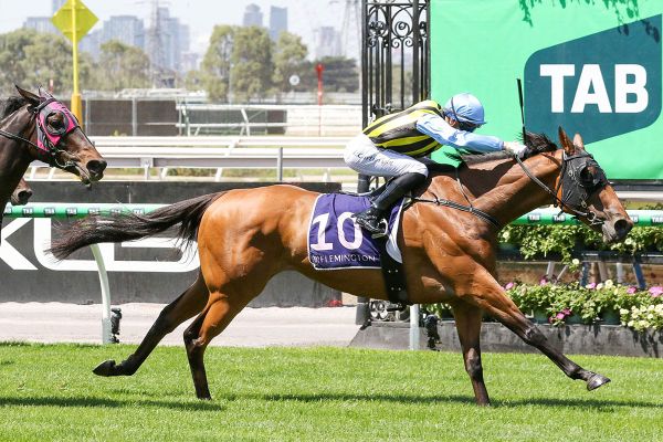 Tarvue adds to strong Flemington record