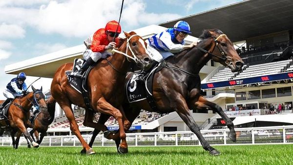 Less travel time to suit Group One hope Tomodachi