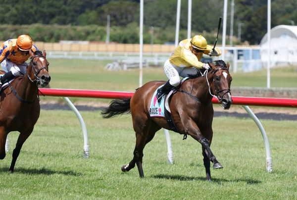 Milan Park Principal Hops On NZB Kiwi Ride