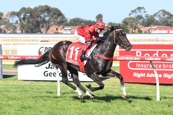 Asakura confirmed for NZB Kiwi