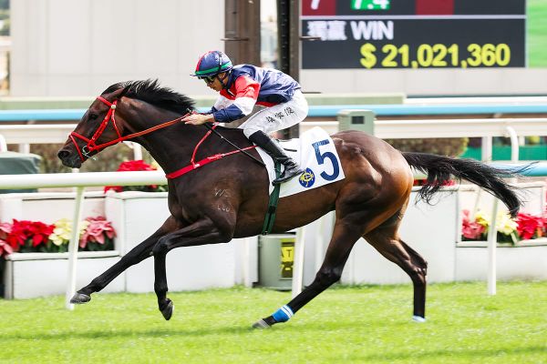 Numbers bids to boost Four-Year-Old Class Series credentials