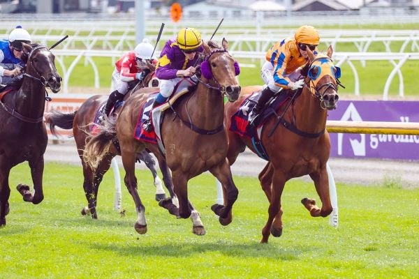 Alottago thriving ahead of Manawatu Classic