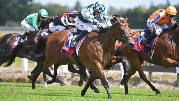 Autumn Glory set for Australian move