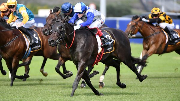 Vinery Stakes next for Belle Cheval