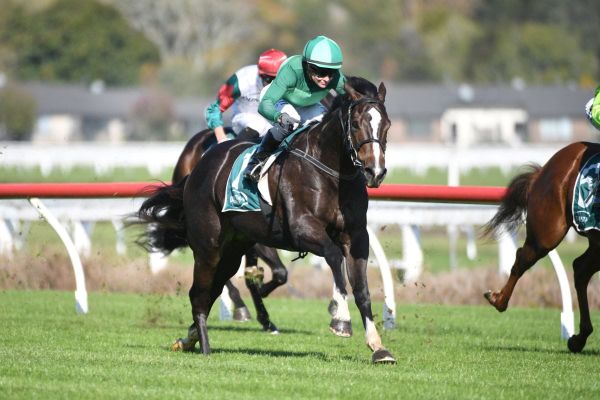Geneva gives Hoskin Group One glee