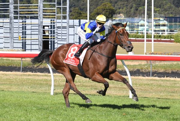 Yulong add another Kiwi star as Ohope Wins prepares for Vinery
