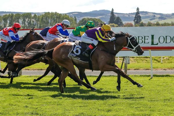 Hayley all set for Southern Guineas challenge