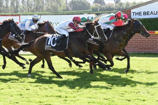 Inflamed takes out home feature