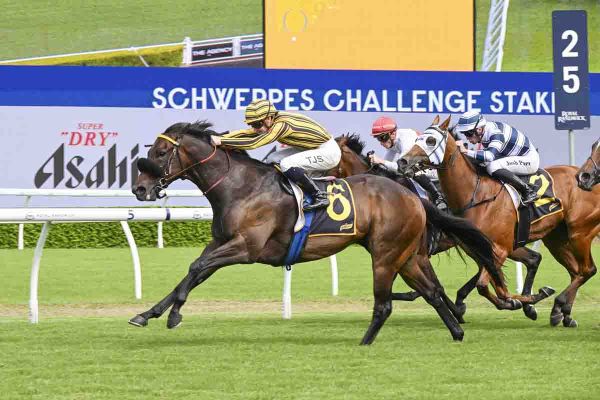 Weight to determine Galaxy jockey for Jedibeel