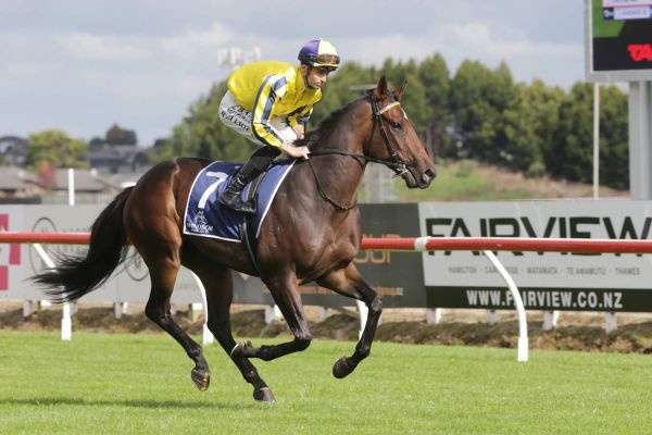 Haunui proudly flying Kiwi flag