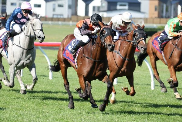 Latest Model struts her stuff in St Leger
