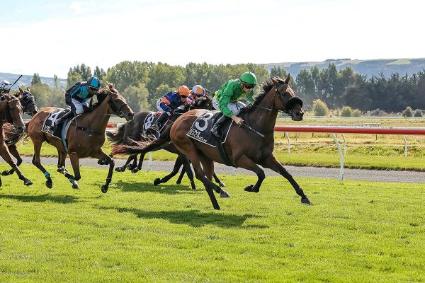 Further posthumous stakes honours for Ghibellines