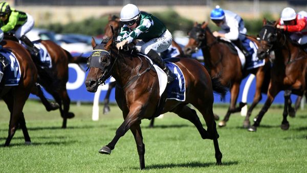 Ohope Wins on track for Australian debut