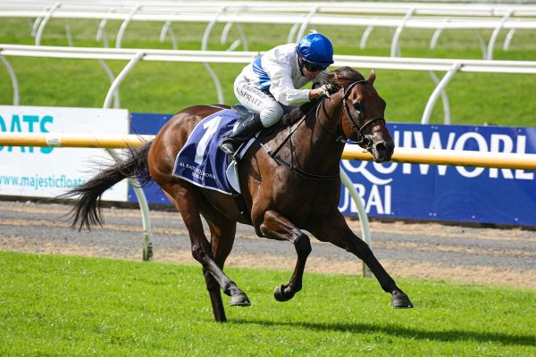 Group One winner Savaglee retired