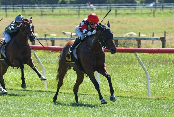 Maiden win sparks stakes tilt for promising filly