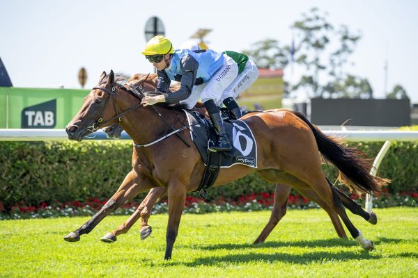 Satono Aladdin Filly impresses on Debut