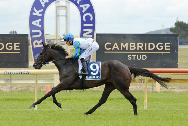 Return to Trentham fits with Waimea Bay