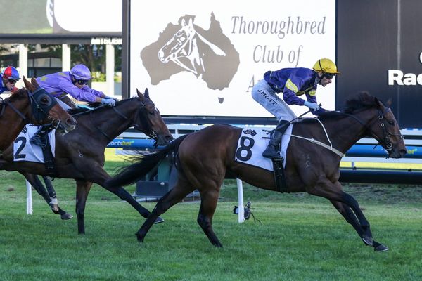 War Machine out for Newmarket redemption