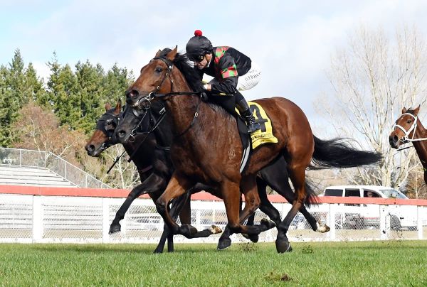 Sorghaghtani gets her shot at black-type