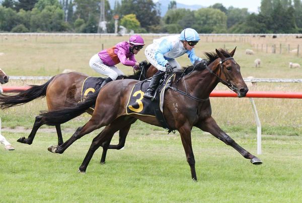 Stokes pleased with new Kiwi acquisition