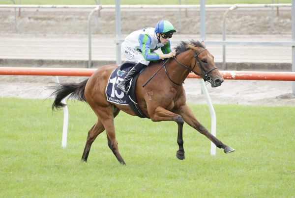Shailer pair on song for Te Rapa