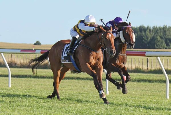 Red has single focus