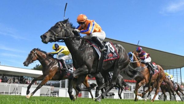 Blueblood filly earns black-type tilt