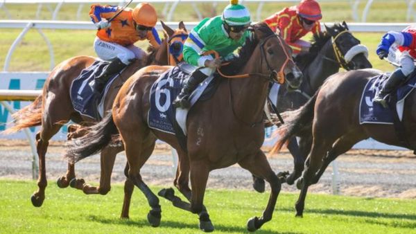 Australia beckoning Bona Sforza