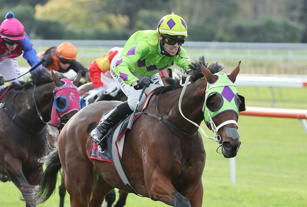 Crouch dominant in Hawke’s Bay Cup