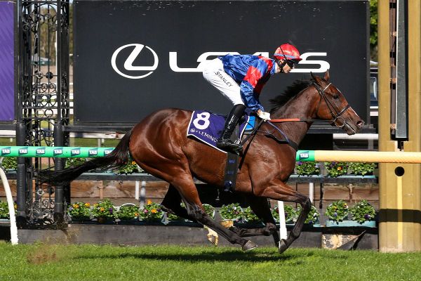 Six-length Flemington romp for Contributer filly