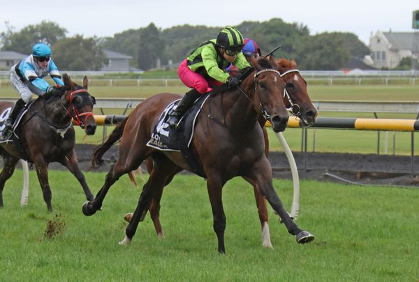 Promising filly set to star on southern venture