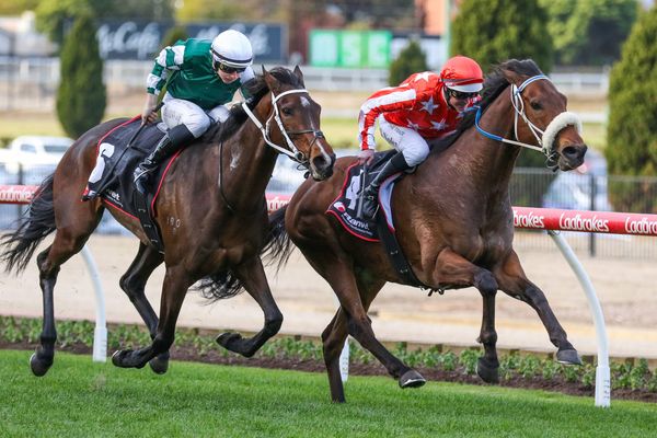 Draw a worry for Desert Lightning