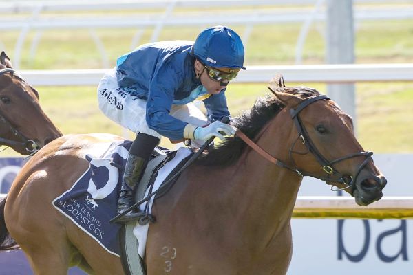 Enchantment adds to success of broodmare purchase