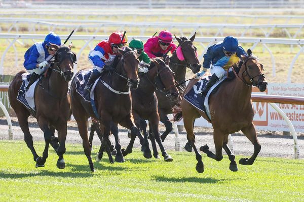 Te Akau filly enchanting in Welcome Stakes