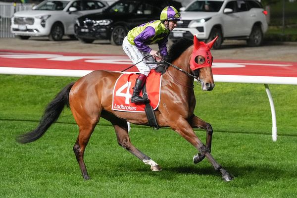 Walker amassing strong Trans-Tasman spring squad