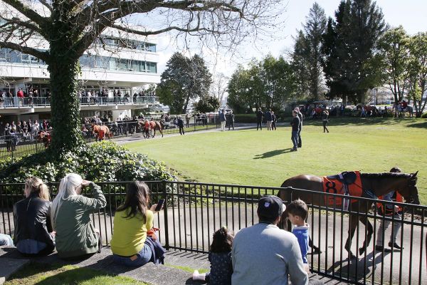 TAB New Zealand Announces Temporary Fuel Relief Package To Support Racing Participants