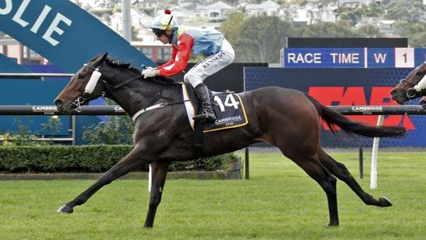 Patience pays off with well-bred filly