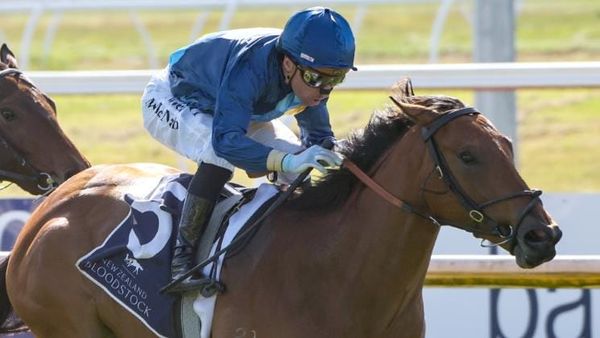 Enchantment adds to success of broodmare purchase