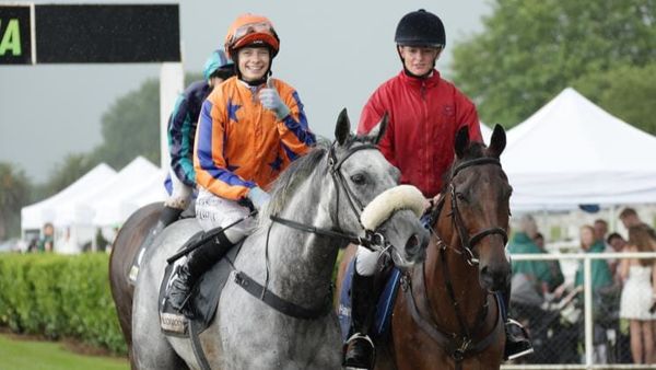 Stablemates ready to stake their claims
