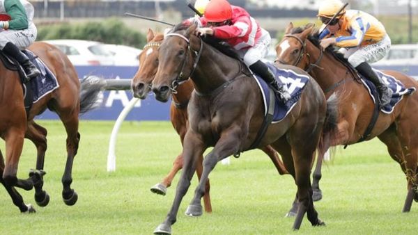 Wonderful weekend for Westbury