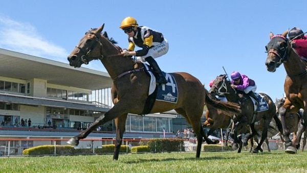 Monologue looking to go out on top note